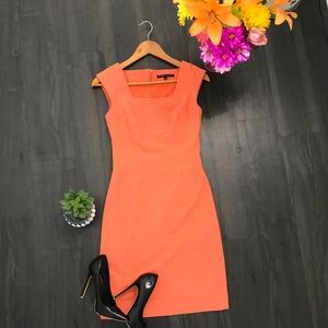 Anotonio Melani Dress. Fitted